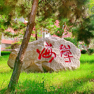 青春，为筑梦发声；恒星，为祖国歌唱。