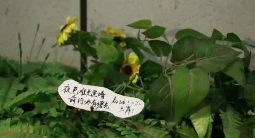 考研加油