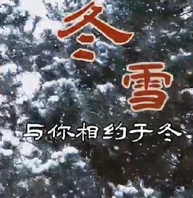 冬雪
